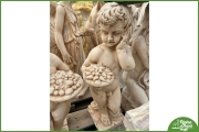 Bimbo con Frutta h. 73 149,00€